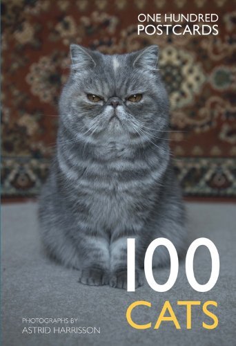 100 Cats in a Box Postcards